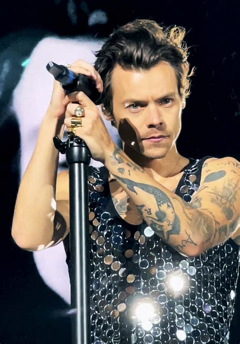 harry styles biceps|harry styles wikipedia.